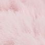 Light Pink-Swatch