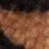 Natural Leopard-Swatch