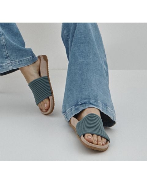 Bodega Blue