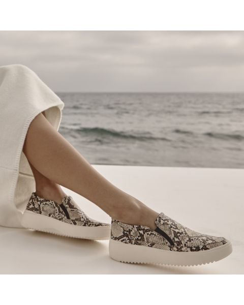Ivory Multi