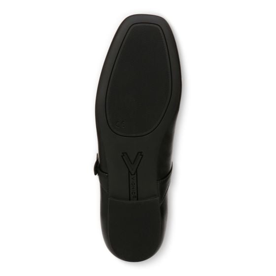 Black-Sole