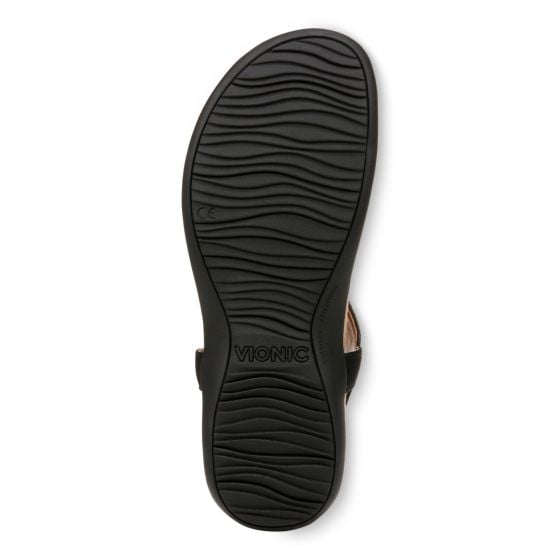 Black-Sole