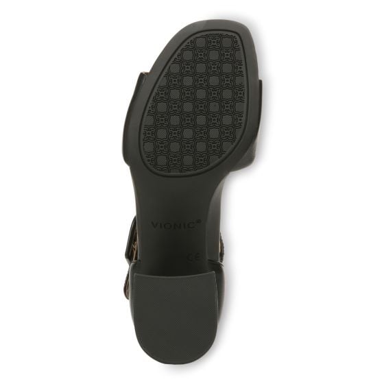 Black-Sole