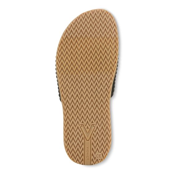 Black-Sole