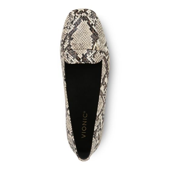 Ivory Multi