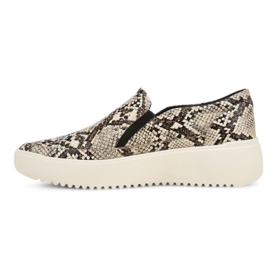 Ivory Multi