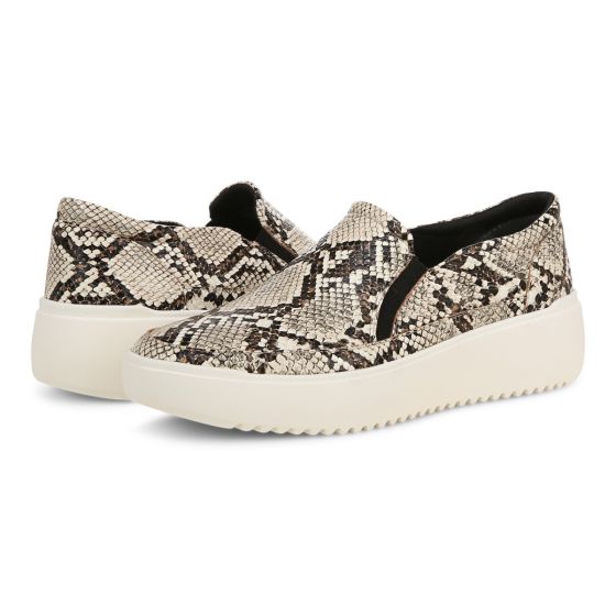 Ivory Multi