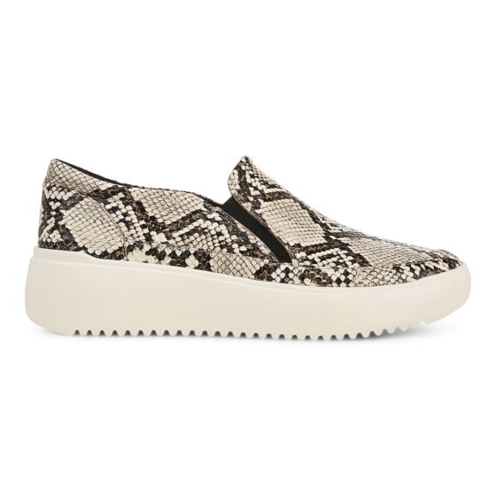 Ivory Multi