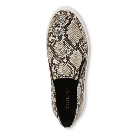 Ivory Multi