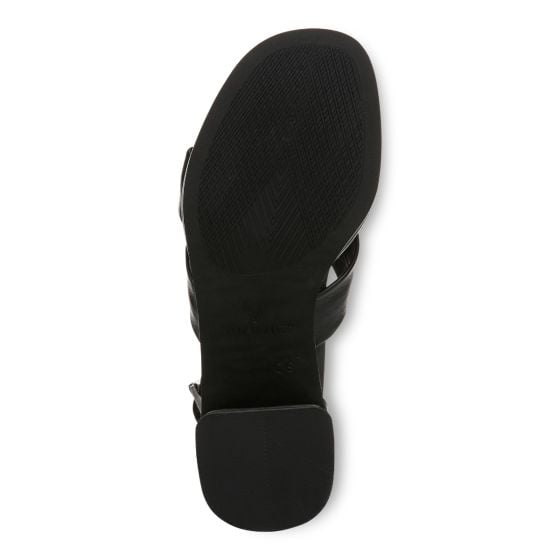Black-Sole