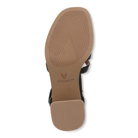 Black-Sole