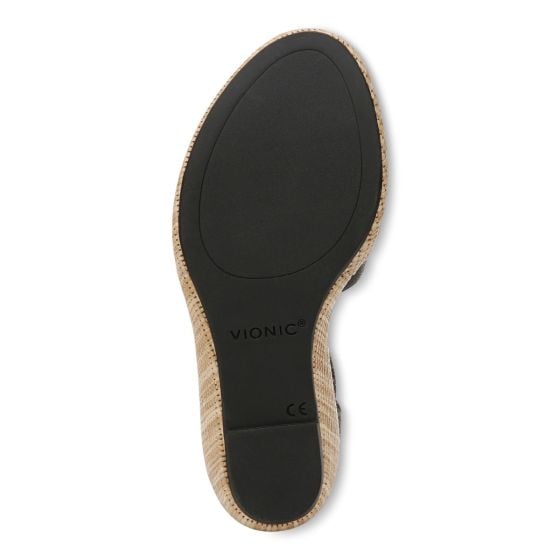 Black-Sole