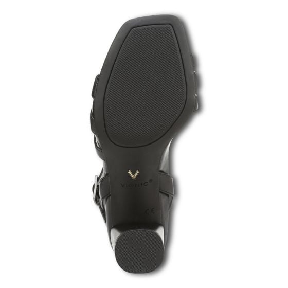 Black-Sole