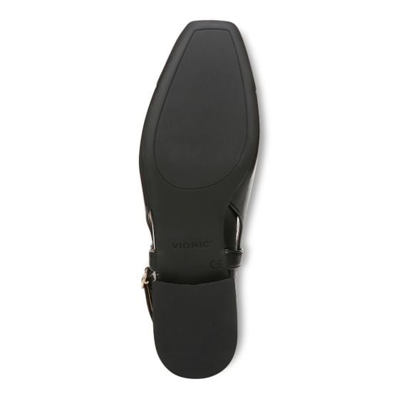 Black-Sole