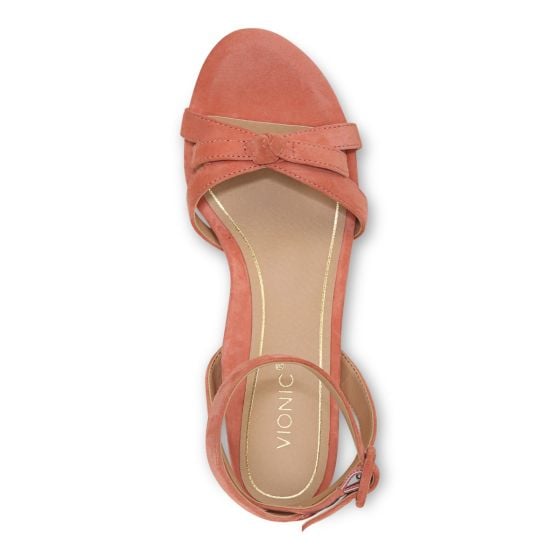 Terracotta