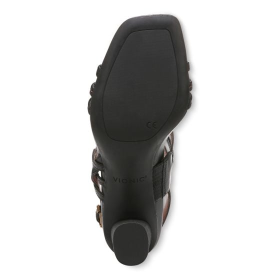 Black-Sole