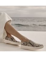 Ivory Multi