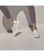 Ivory Multi