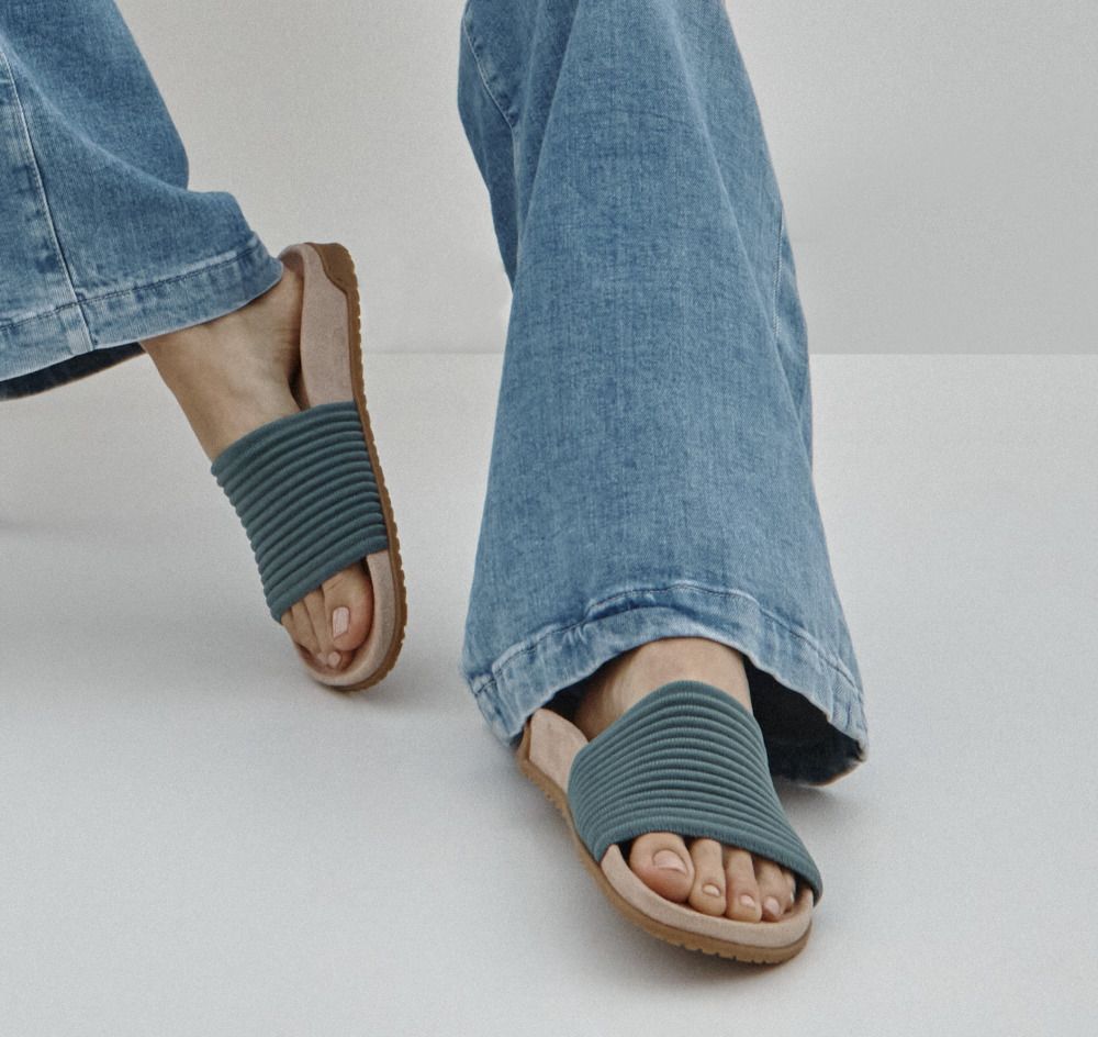Bodega Blue